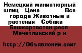 Немецкий миниатюрный шпиц › Цена ­ 60 000 - Все города Животные и растения » Собаки   . Башкортостан респ.,Мечетлинский р-н